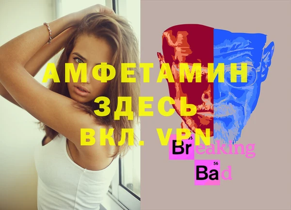 шишки Верея